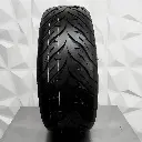 Maximus DS01 01.webp